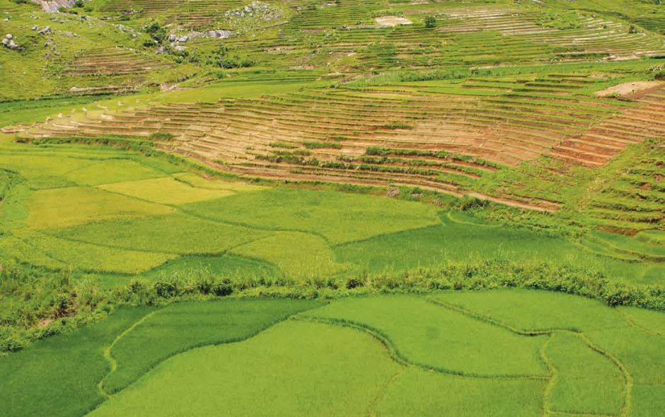 Madagascar: Un luogo di approdo