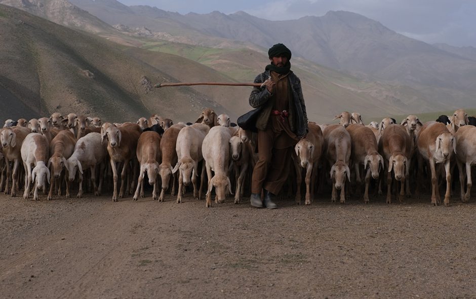 Afghanistan 2022: I Kuchi su pascoli di sabbia